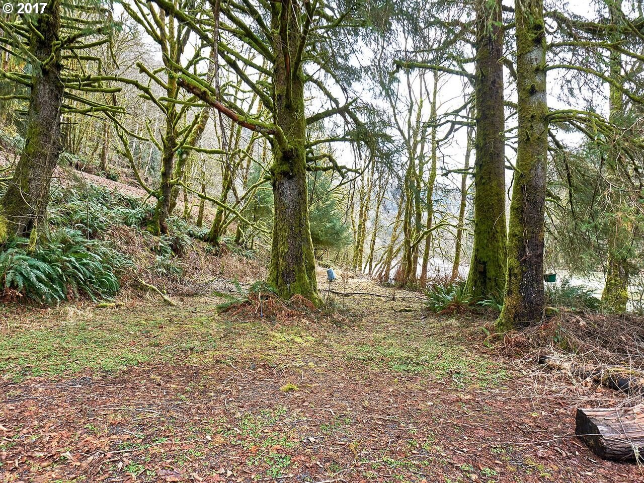 79624 Lower Nehalem Road Seaside, OR 97138 - Photo 28 of 28