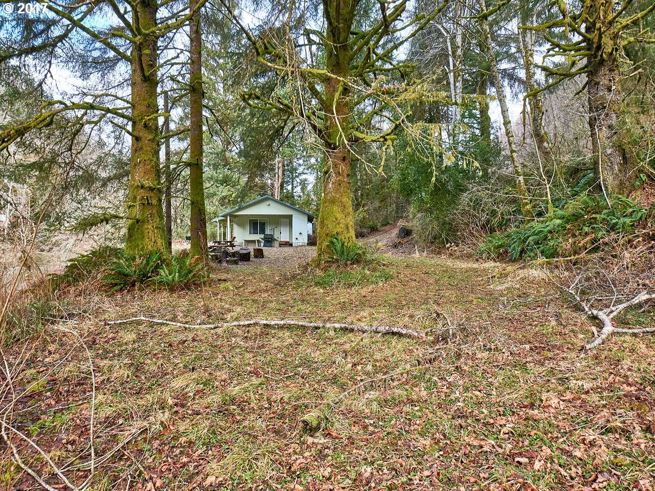 79624 Lower Nehalem Road Seaside, OR 97138 - Photo 10 of 28