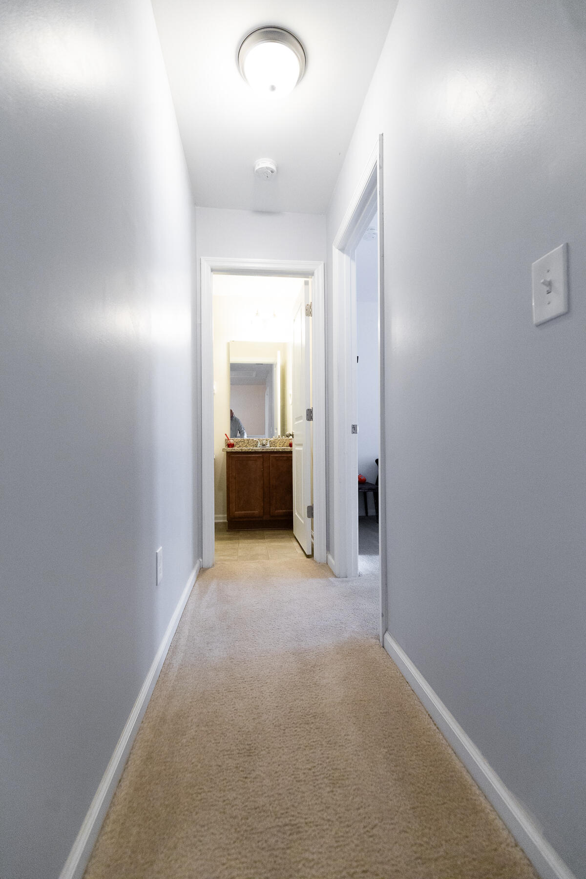 9227 Southern Oak Lane Ladson, SC 29456 - Photo 21 of 34 SS-33