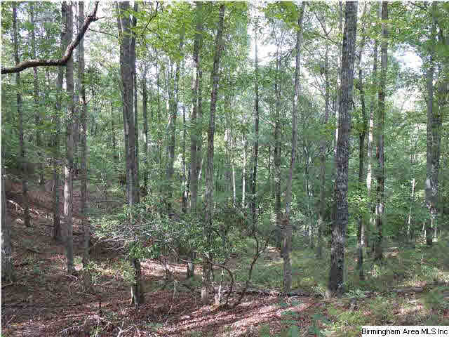 Meherg Road, Unit 28 Rockford, AL 35136 - Photo 16 of 25