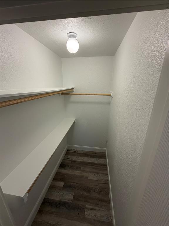 150 Ash Creek Court Springtown, TX 76082 - Photo 14 of 20 closet featuring shelfs and light wood-style floors