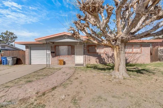 a tree in front of a white house