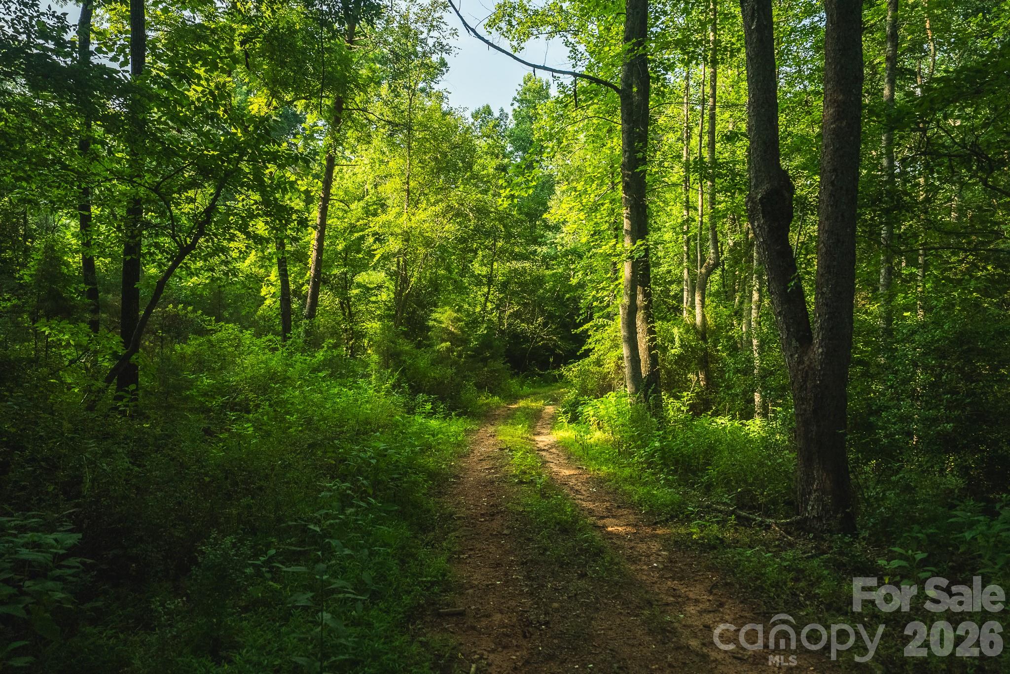 Tbd Sandbar Road Granite Falls, NC 28630 - Photo 32 of 43