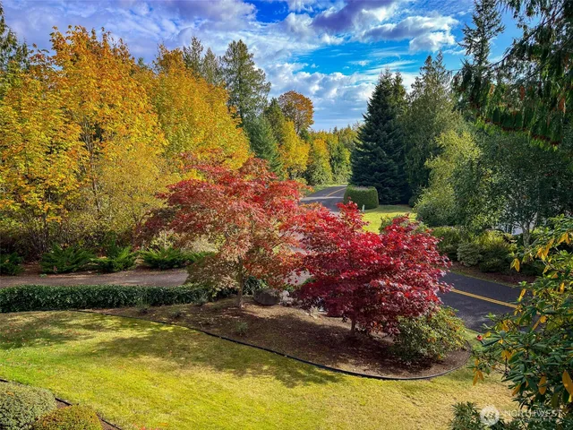 a view of a backyard