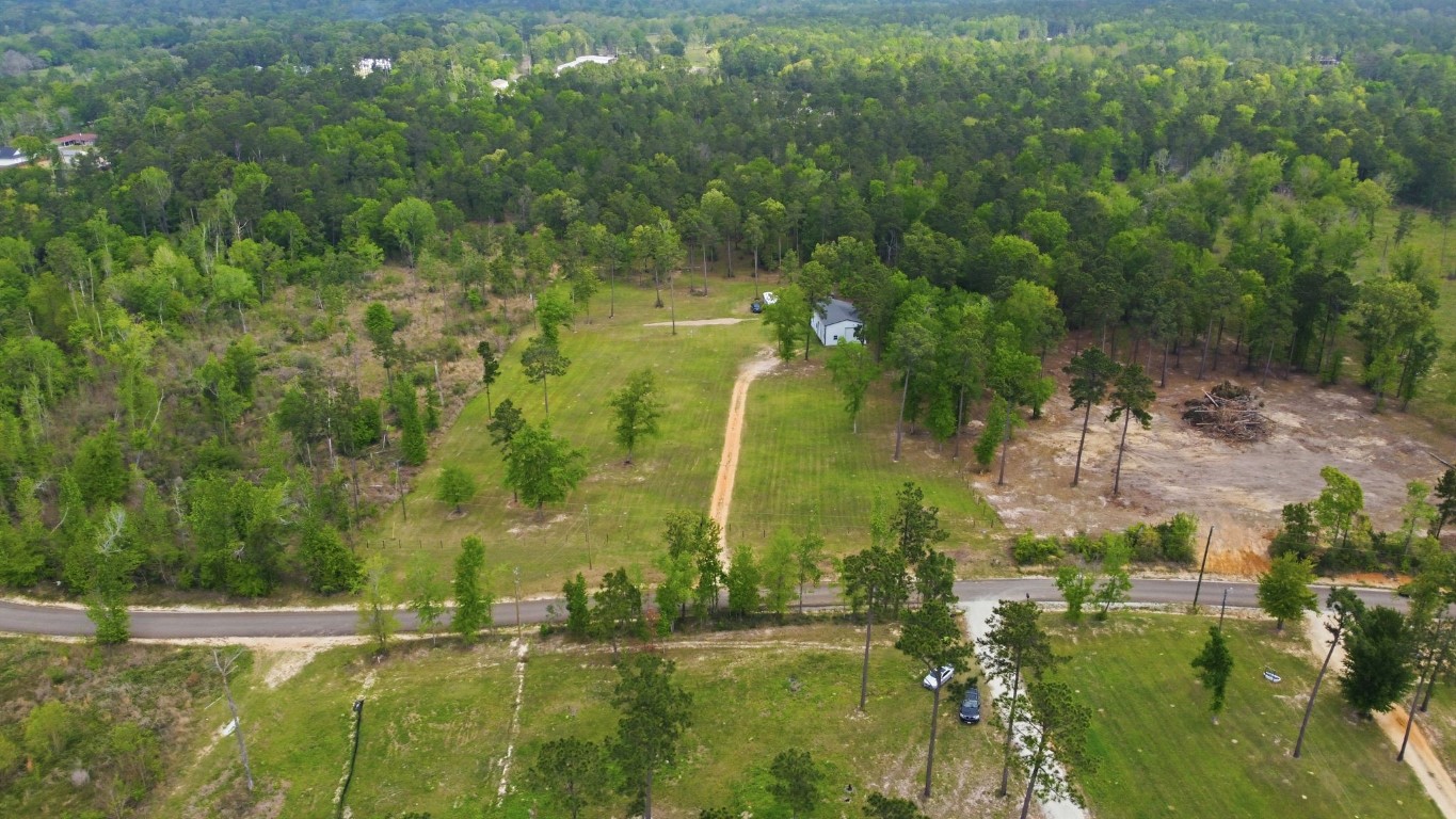 446 Hanson Road Onalaska, TX 77360 - Photo 3 of 27 aerial of property