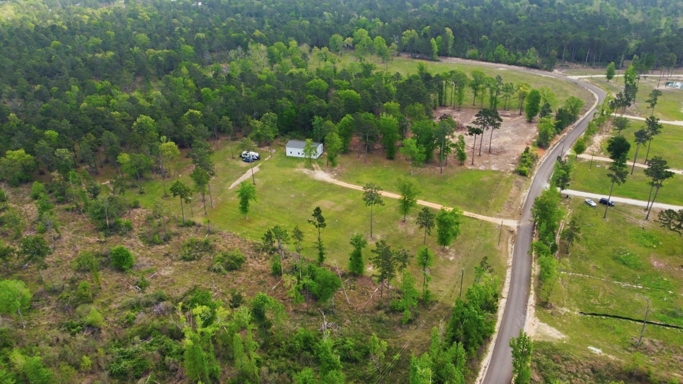 446 Hanson Road Onalaska, TX 77360 - Photo 4 of 27 aerial of property