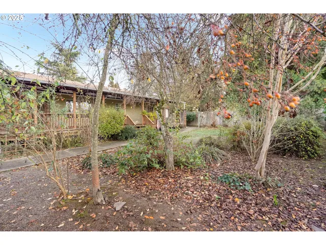 a view of a backyard