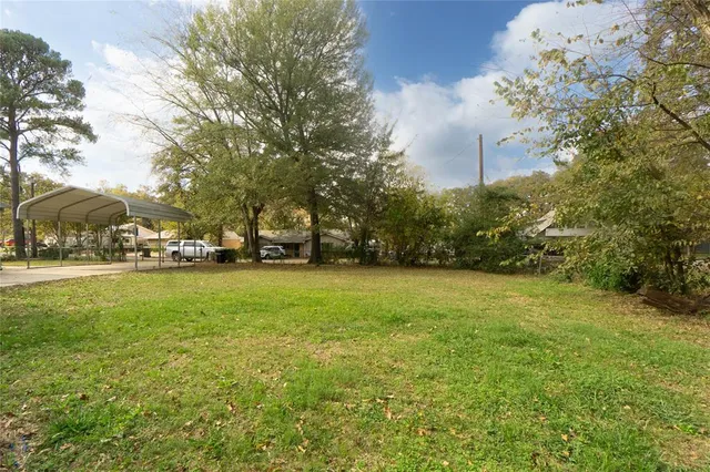 a view of a garden with large trees