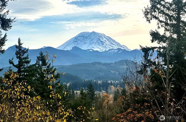 a view of a lot of trees and houses
