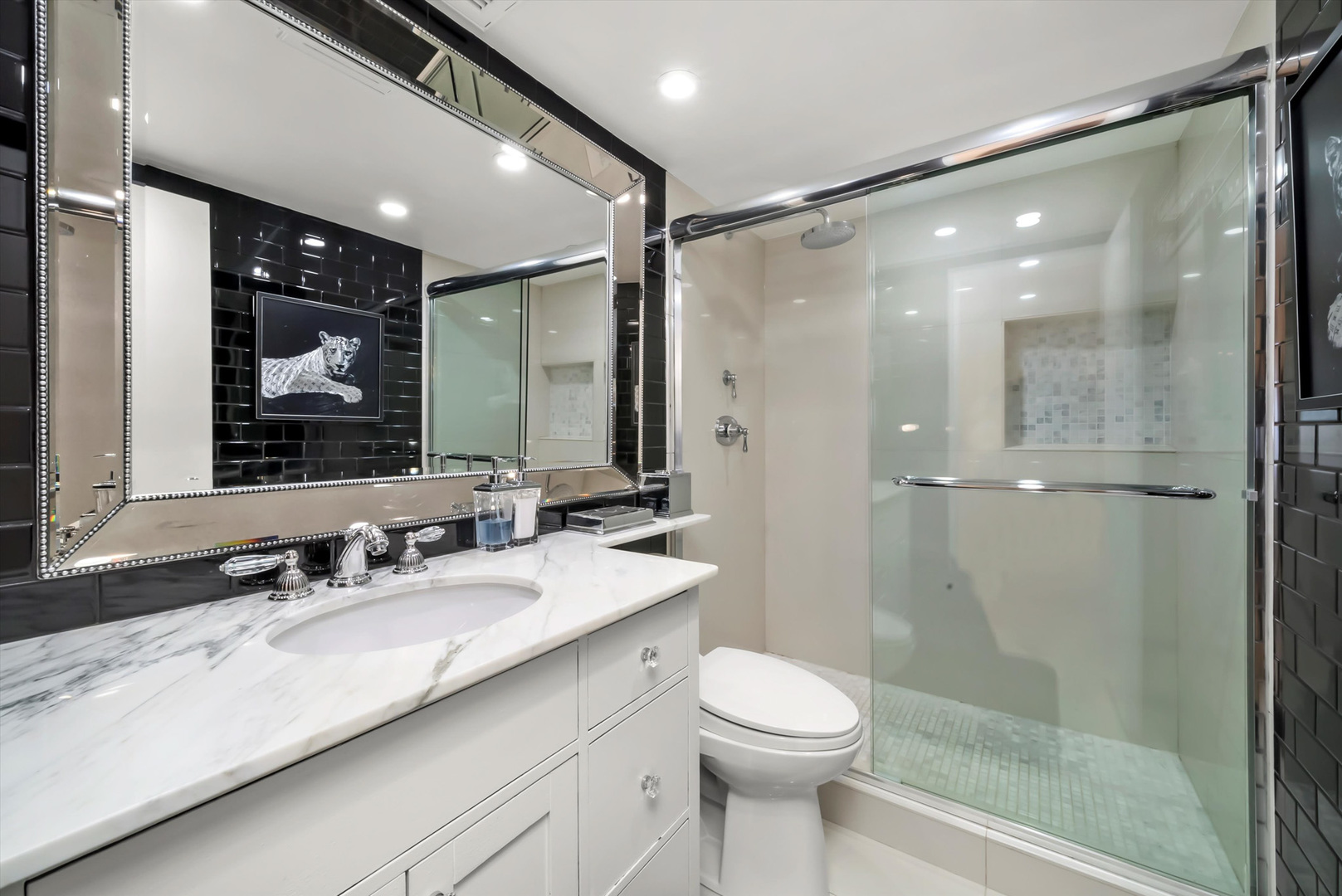 175 East Delaware Place, Unit 7107 Chicago, IL 60611 - Photo 24 of 42 a bathroom with a sink a toilet and shower