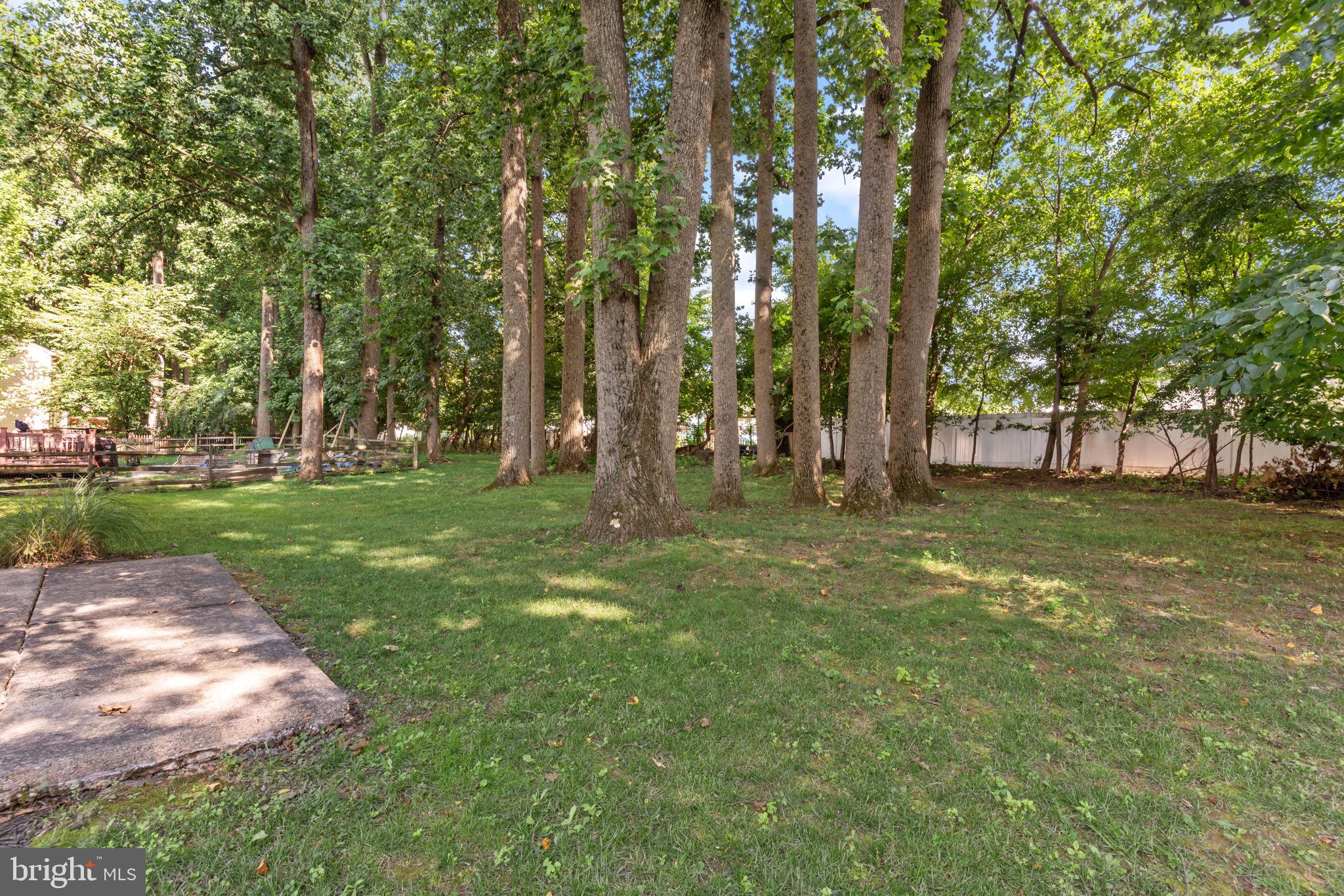 812 Green Ridge Circle Langhorne, PA 19053 - Photo 35 of 36 Park like back yard