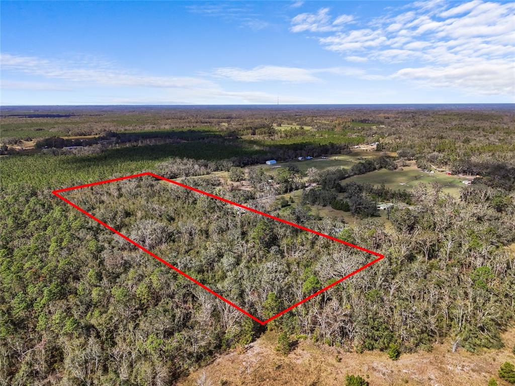 0 113th Place Live Oak, FL 32060 - Photo 3 of 5