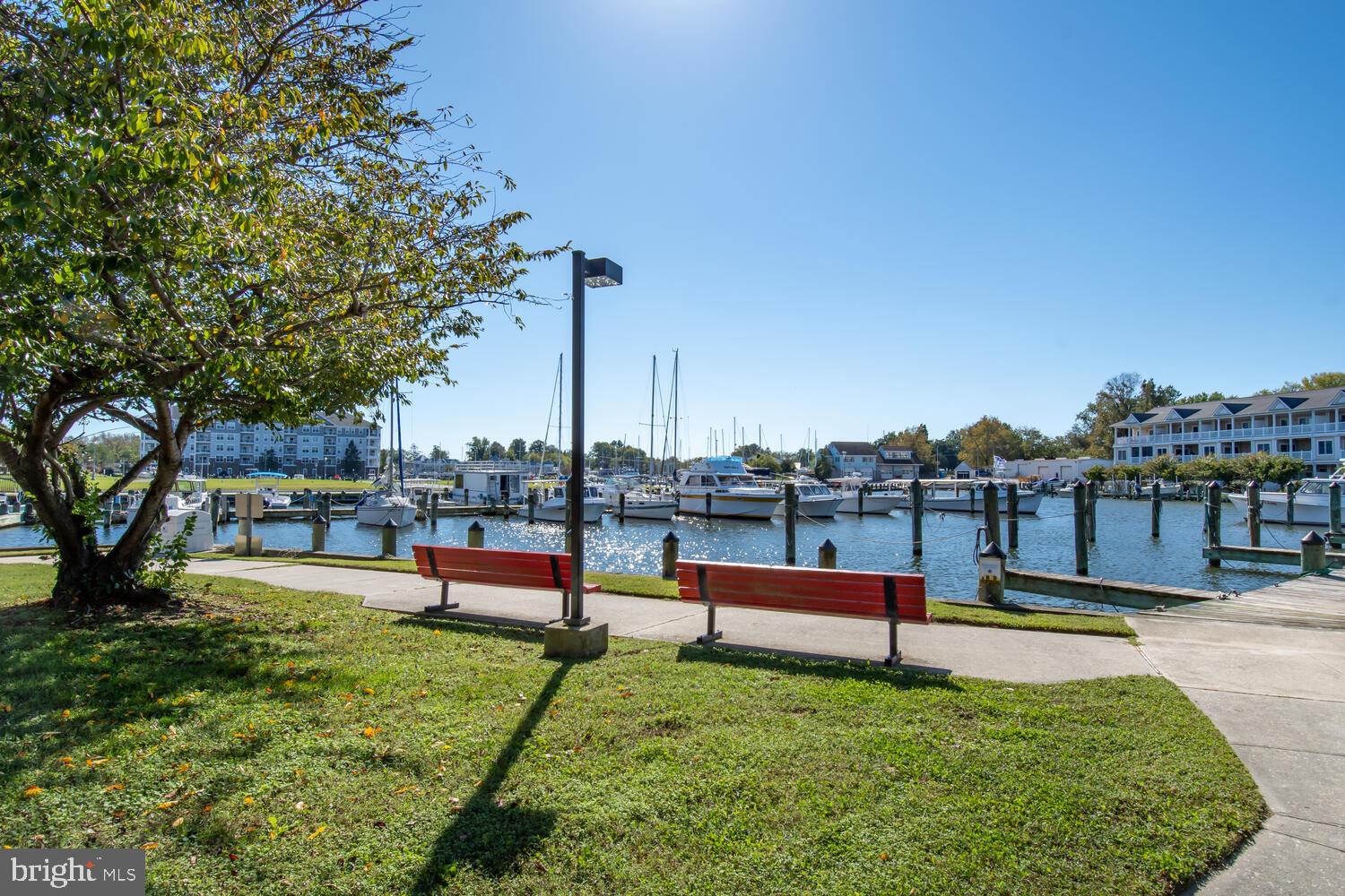 34 Riverside Drive Cambridge, MD 21613 - Photo 49 of 64