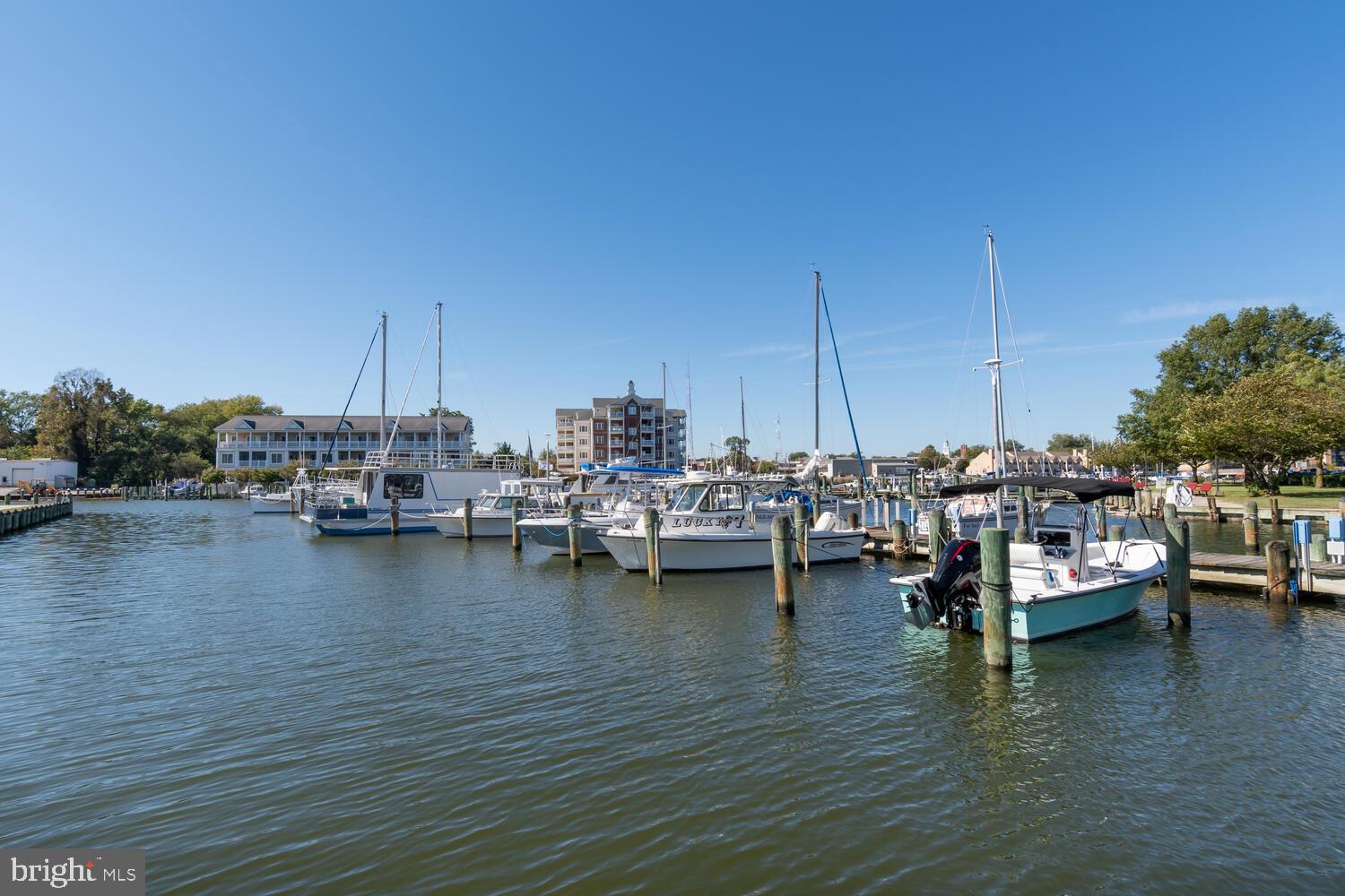 34 Riverside Drive Cambridge, MD 21613 - Photo 50 of 64