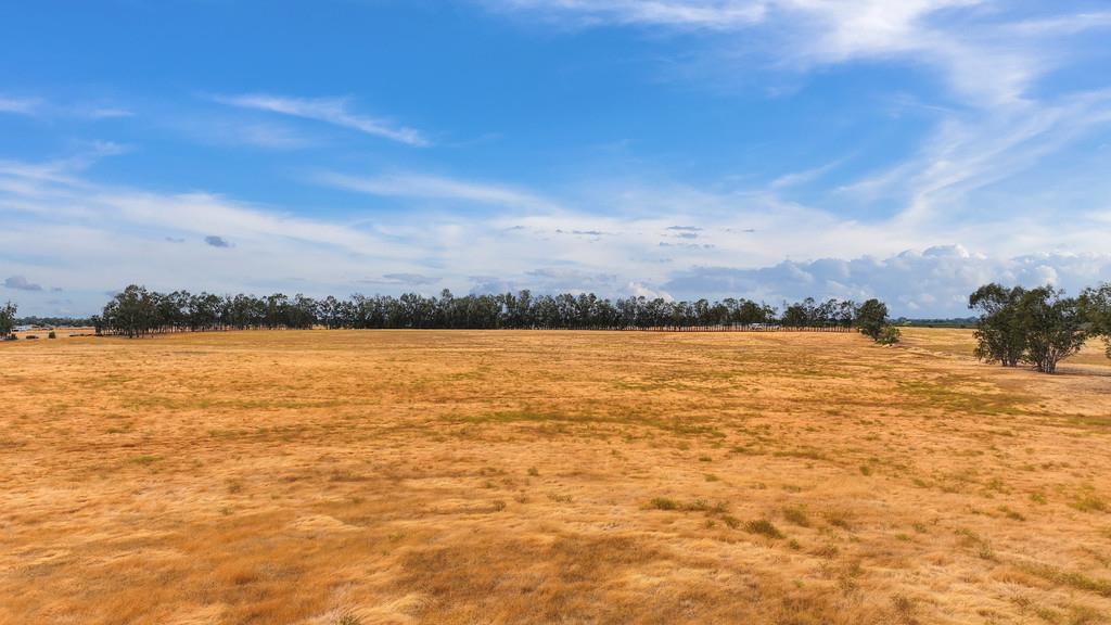 6801 Andressen Road Sheridan, CA 95681 - Photo 9 of 13