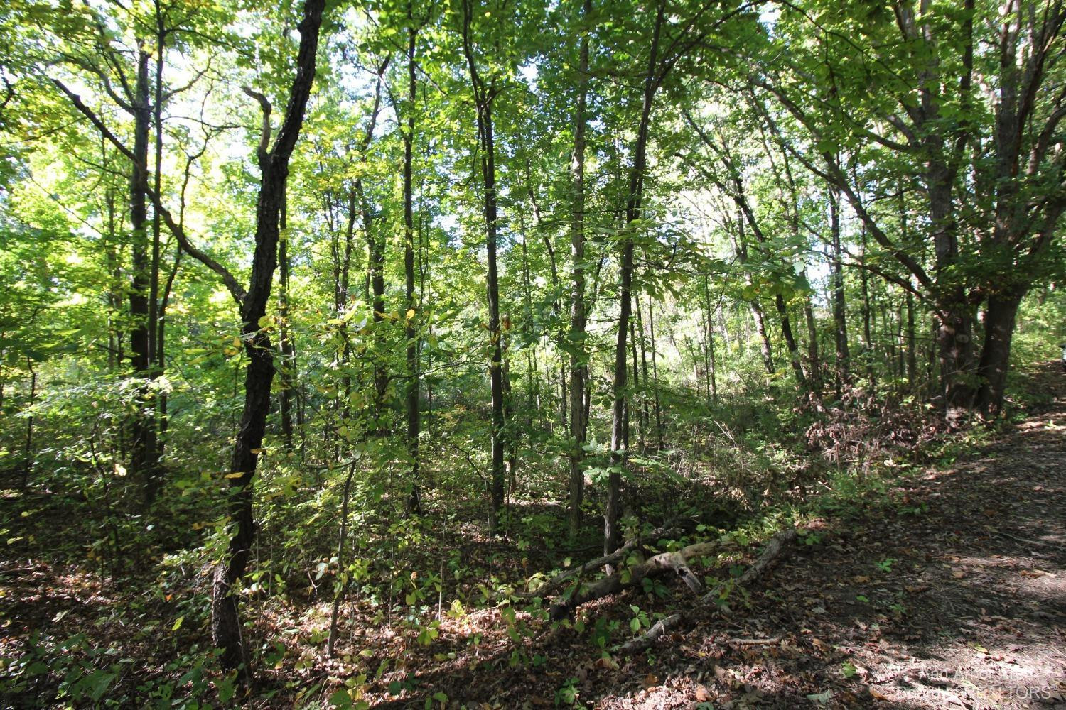 0 Mester Road Chelsea, MI 48118 - Photo 12 of 15 Photo 12