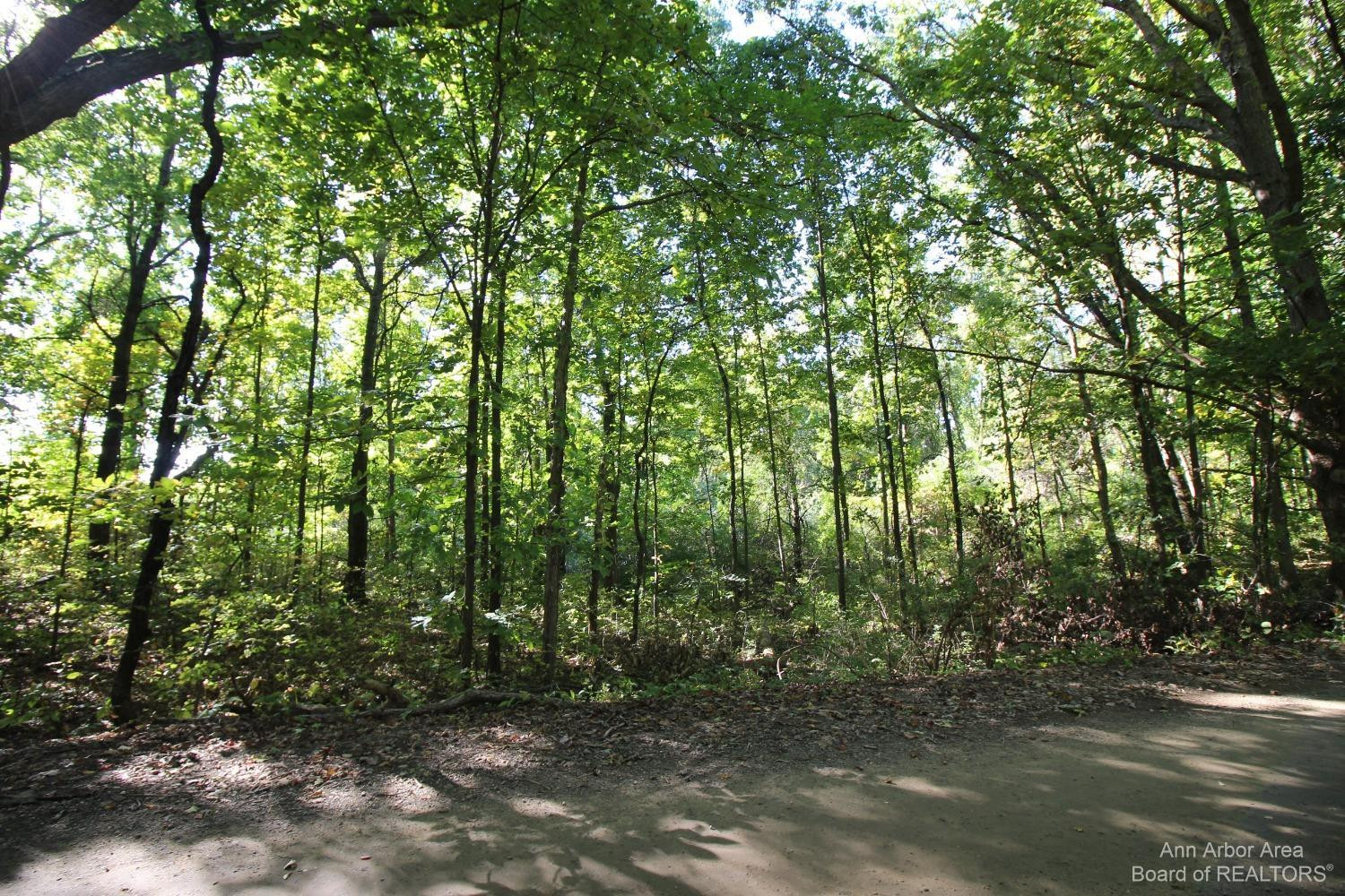 0 Mester Road Chelsea, MI 48118 - Photo 13 of 15 Photo 13