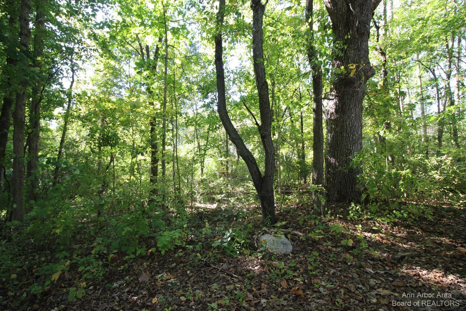 0 Mester Road Chelsea, MI 48118 - Photo 14 of 15 Photo 14