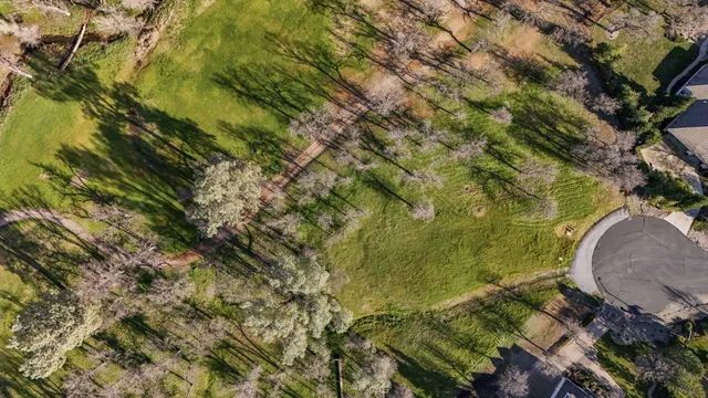 a view of a garden with plants and wooden fence