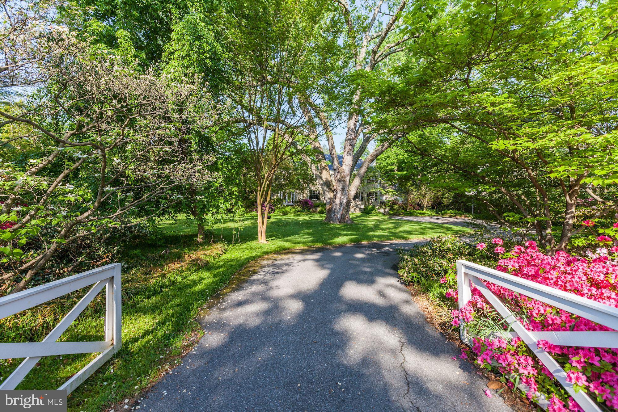 6800 Glenbrook Road Bethesda, MD 20814 - Photo 4 of 30 a backyard of a house with lots of green space