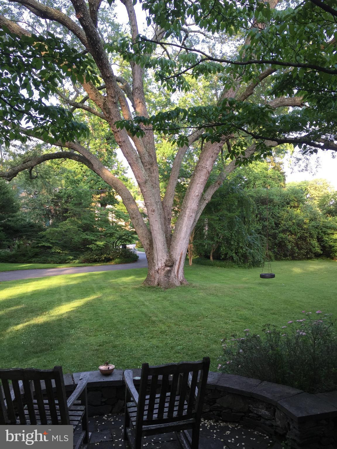 6800 Glenbrook Road Bethesda, MD 20814 - Photo 6 of 30 a view of a wooden deck and a yard