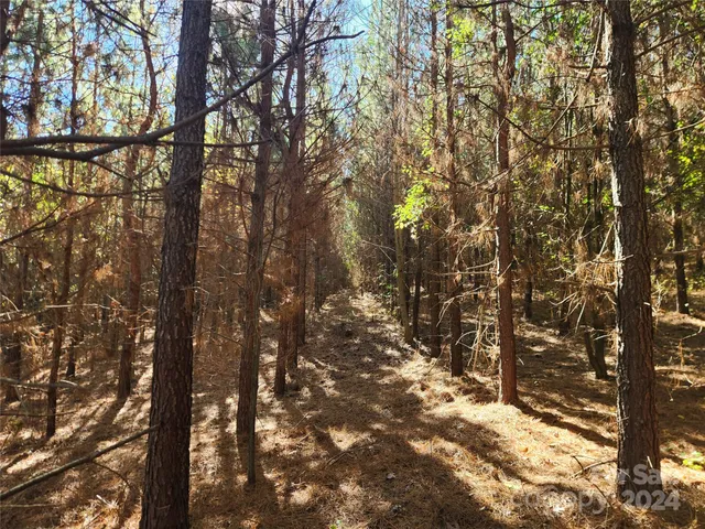 $450,000 | 451 Low Bridge Road, Forest City, NC 28043