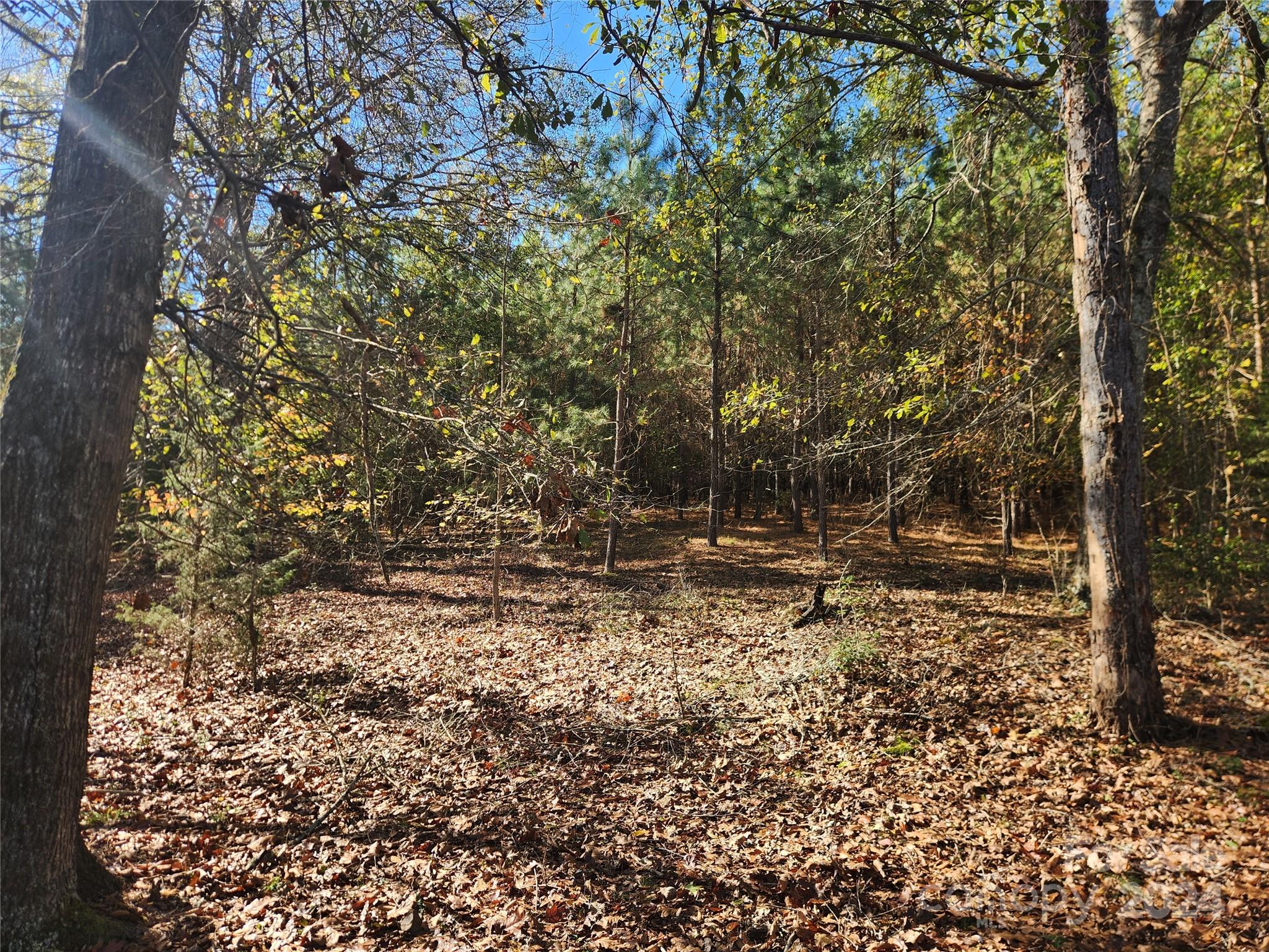 451 Low Bridge Road Forest City, NC 28043 - Photo 16 of 34