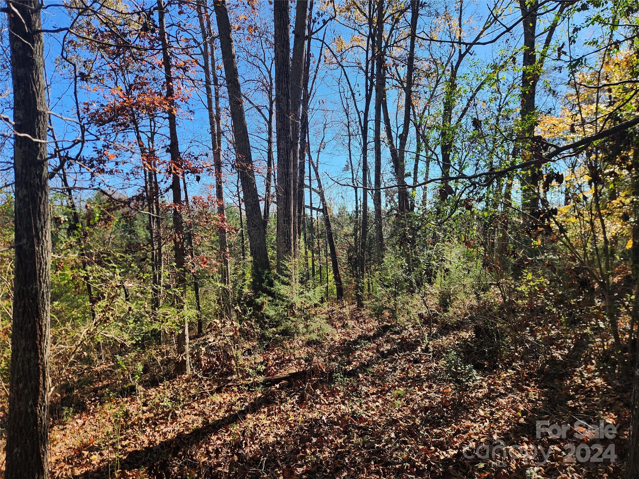 451 Low Bridge Road Forest City, NC 28043 - Photo 17 of 34