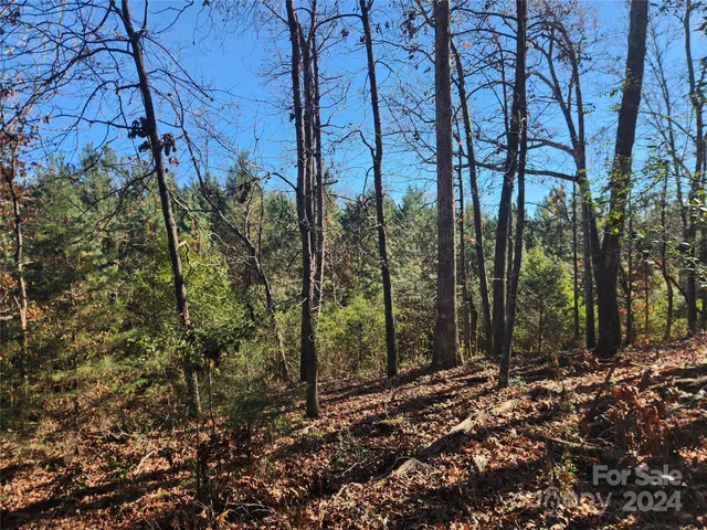 $450,000 | 451 Low Bridge Road, Forest City, NC 28043