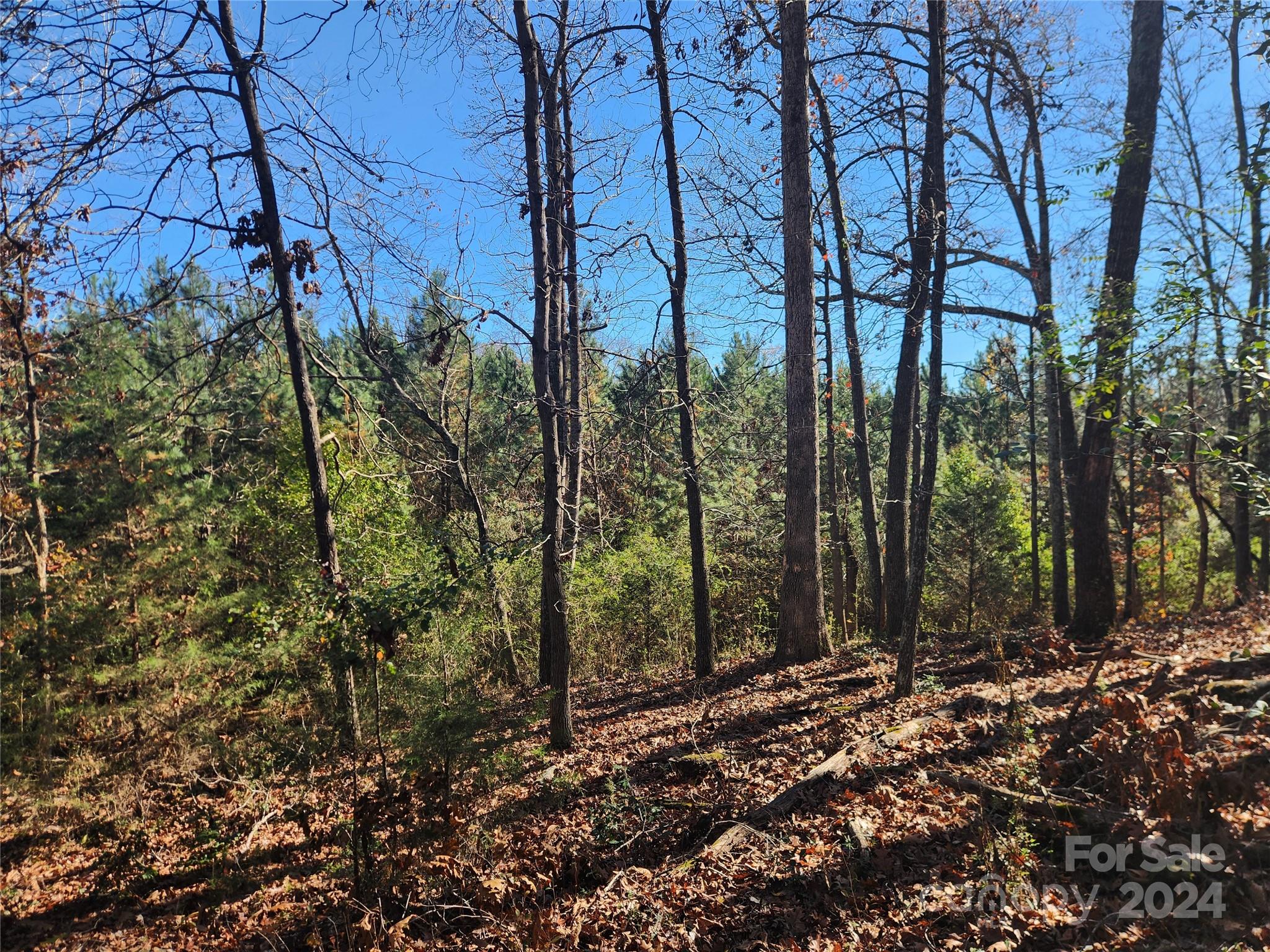 451 Low Bridge Road Forest City, NC 28043 - Photo 18 of 34