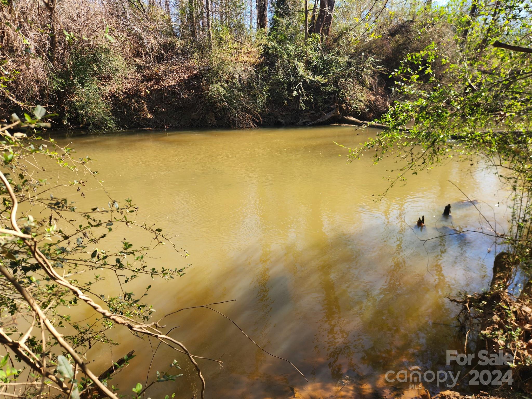 451 Low Bridge Road Forest City, NC 28043 - Photo 23 of 34