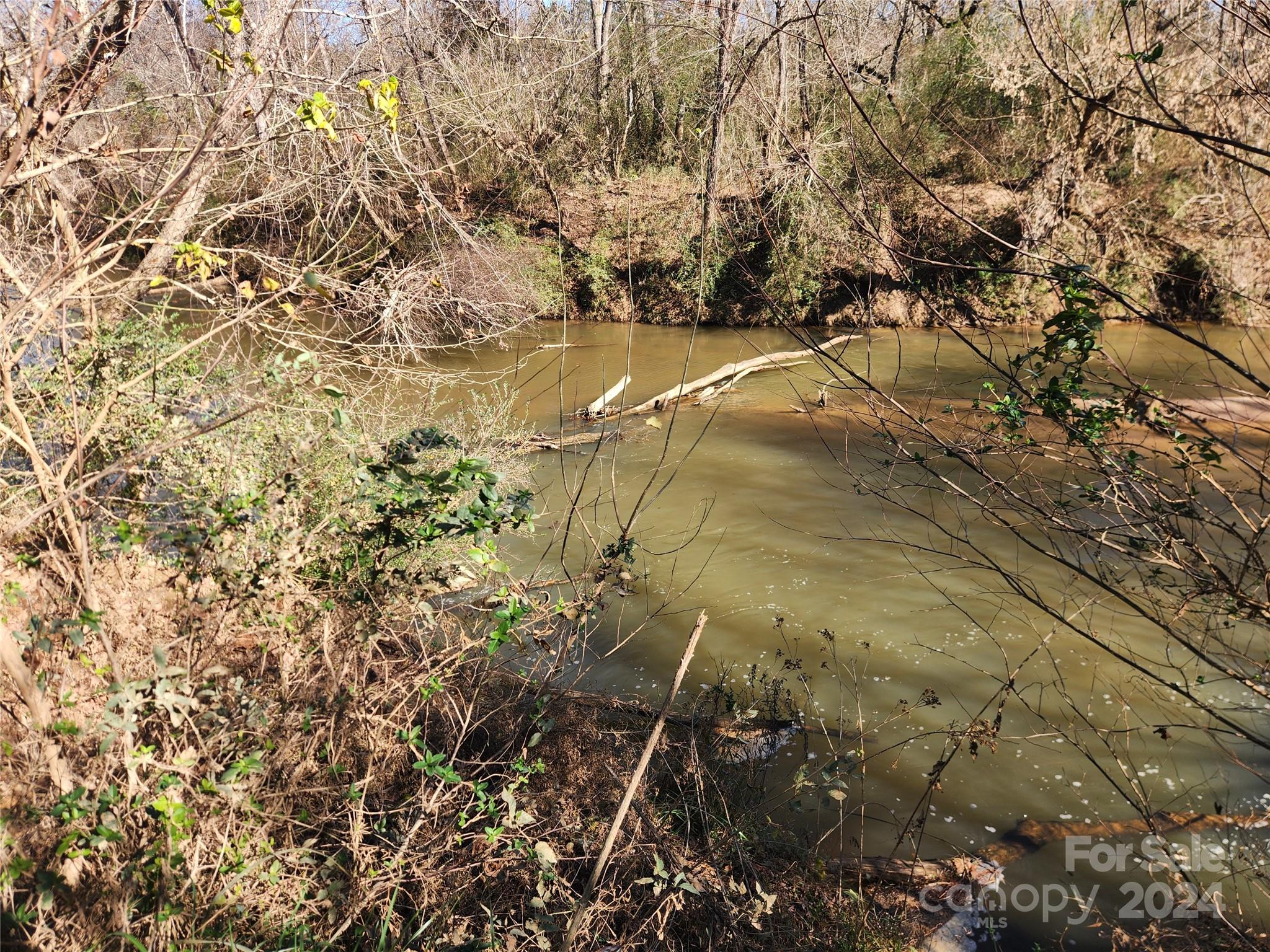 451 Low Bridge Road Forest City, NC 28043 - Photo 26 of 34