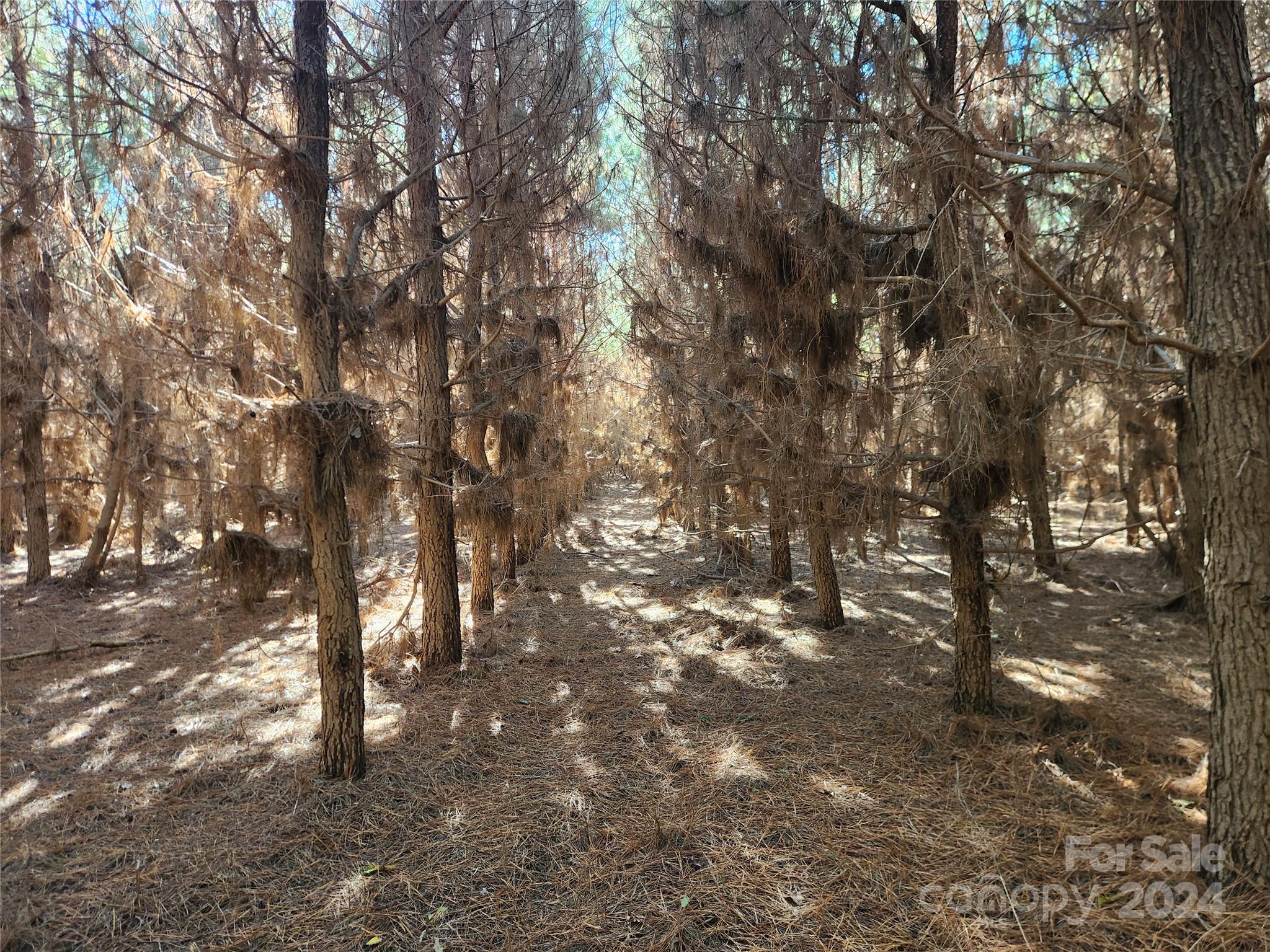 451 Low Bridge Road Forest City, NC 28043 - Photo 28 of 34