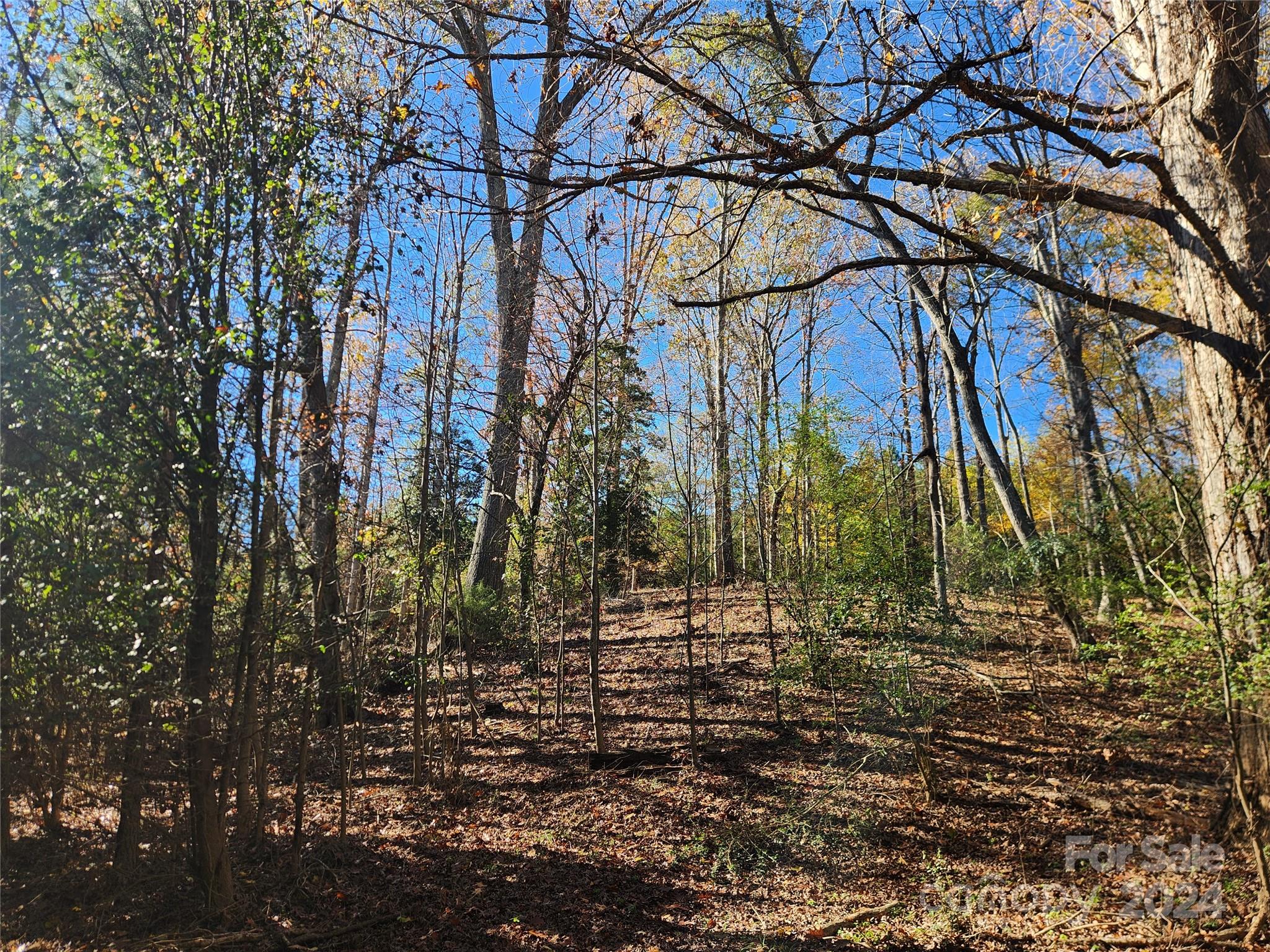 451 Low Bridge Road Forest City, NC 28043 - Photo 29 of 34