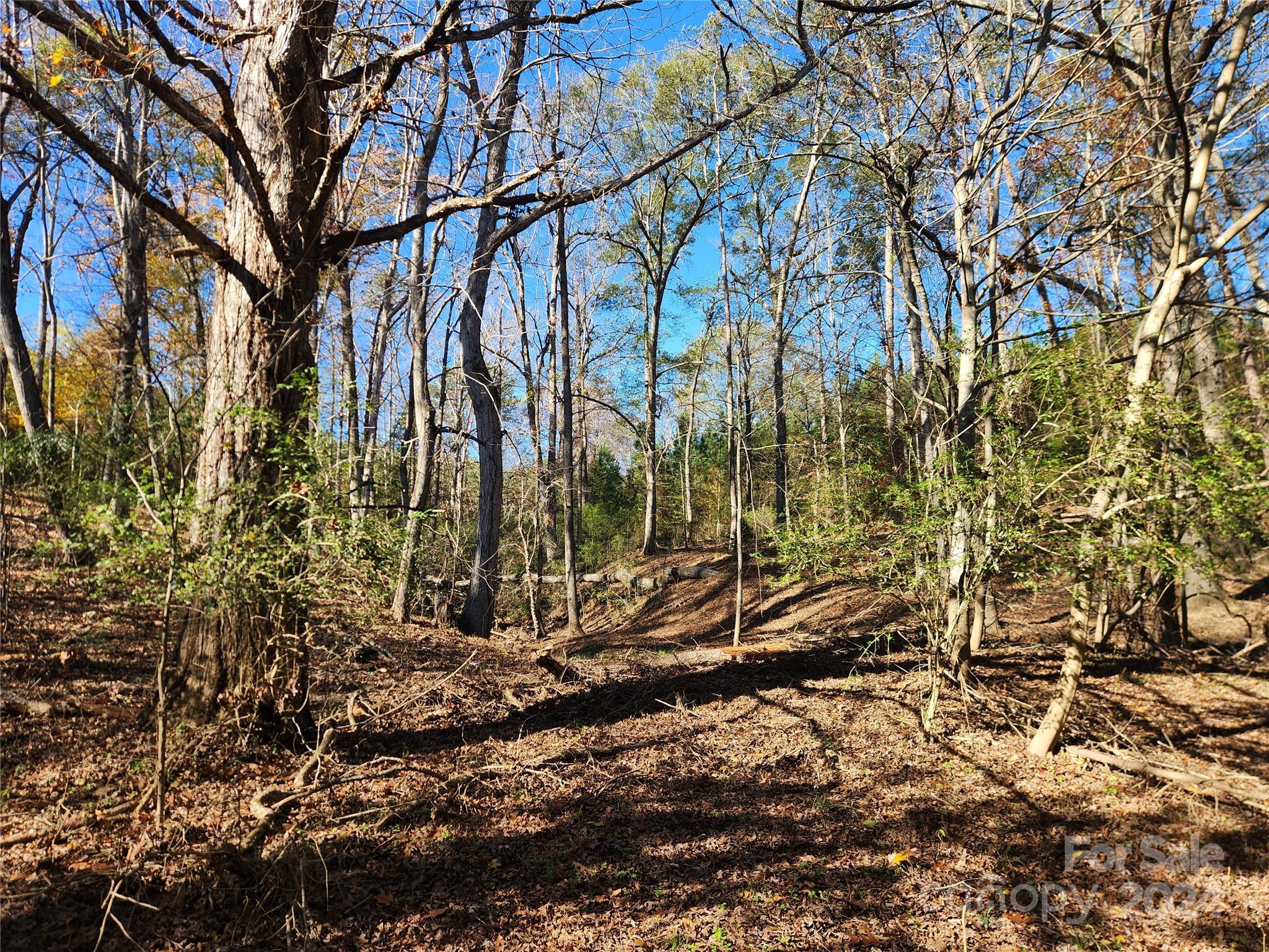 451 Low Bridge Road Forest City, NC 28043 - Photo 3 of 34