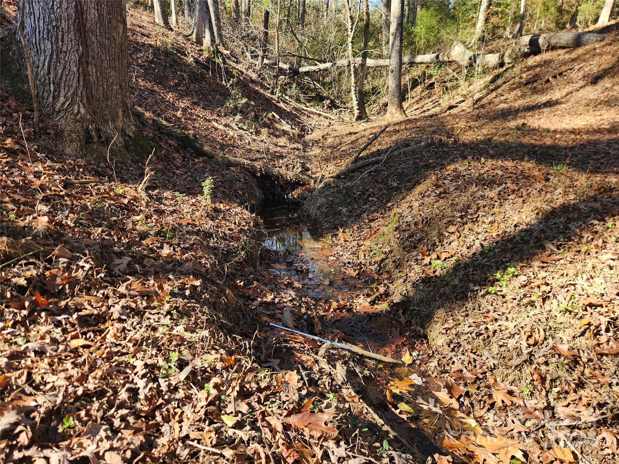 451 Low Bridge Road Forest City, NC 28043 - Photo 5 of 34