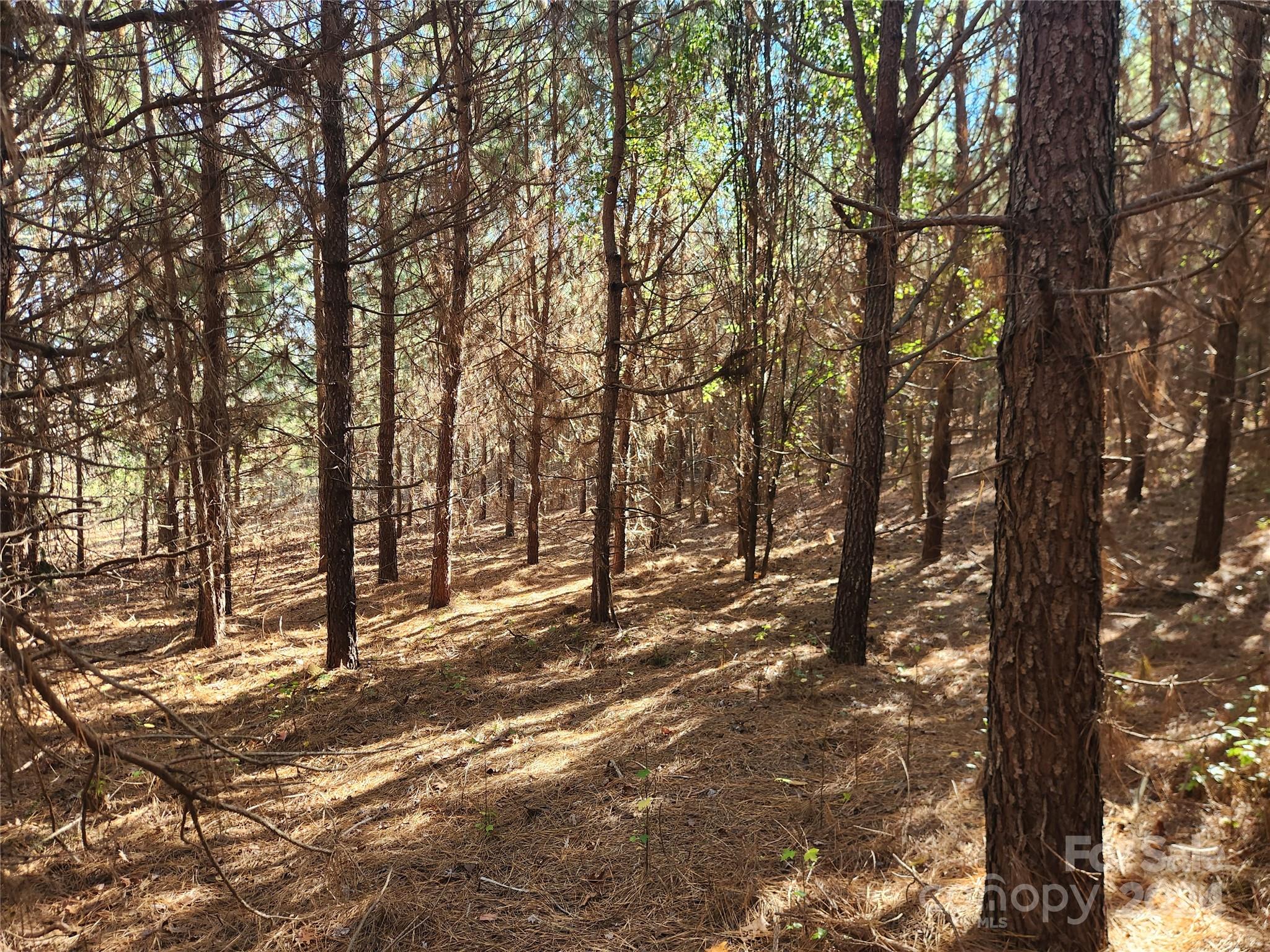 451 Low Bridge Road Forest City, NC 28043 - Photo 7 of 34