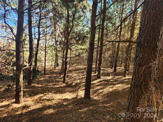 $450,000 | 451 Low Bridge Road, Forest City, NC 28043