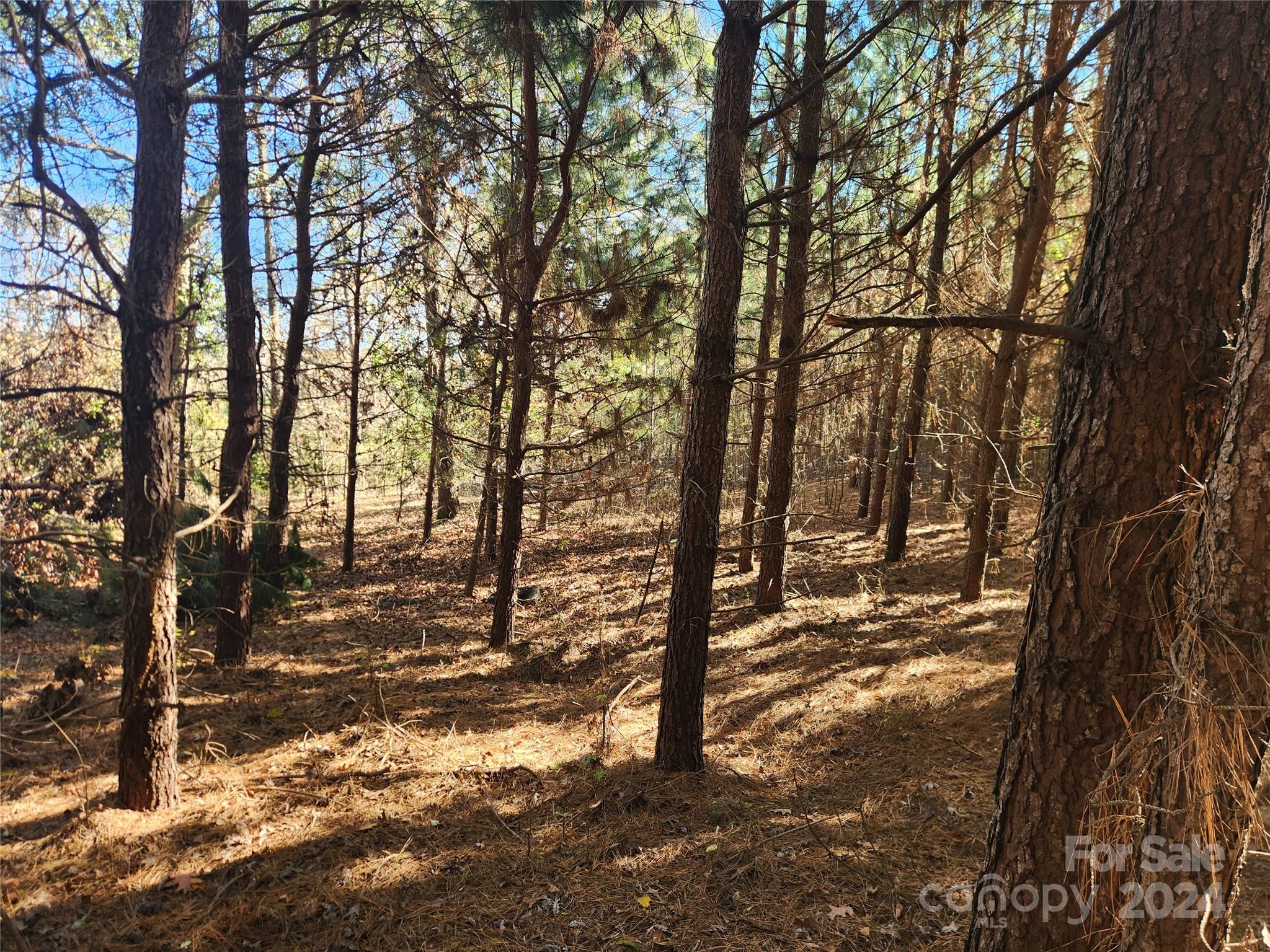 451 Low Bridge Road Forest City, NC 28043 - Photo 8 of 34