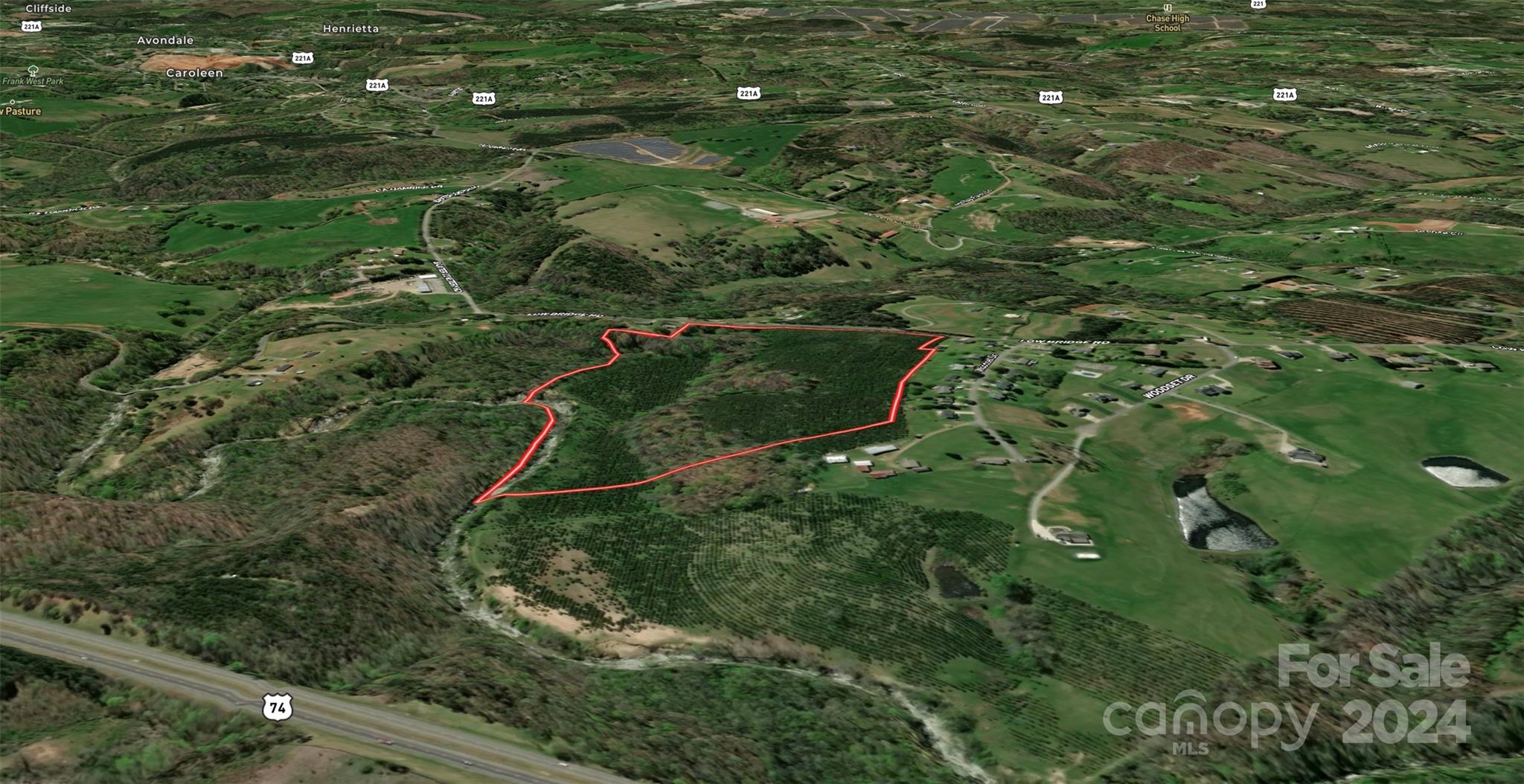 451 Low Bridge Road Forest City, NC 28043 - Photo 9 of 34