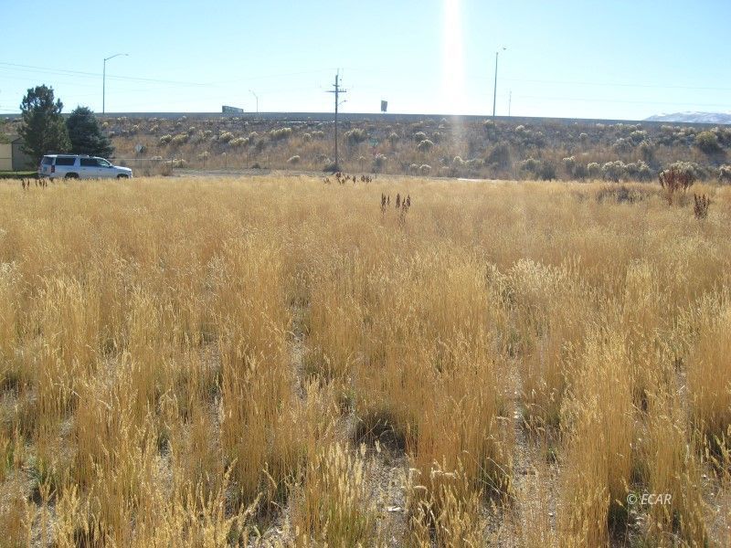 Tbd Dover Street Wells, NV 89835 - Photo 2 of 6