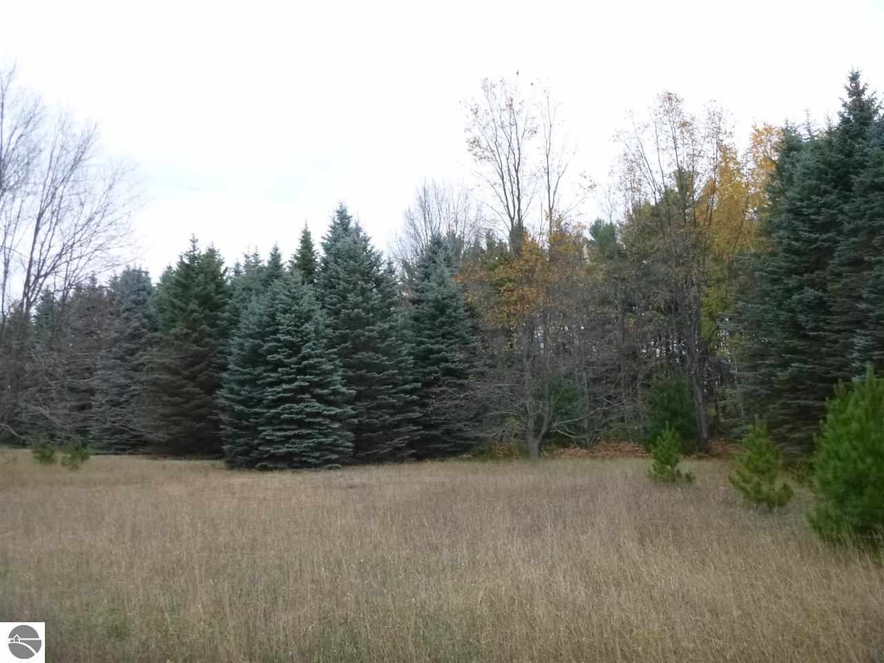 2234 East Duck Lake Road Grawn, MI 49637 - Photo 17 of 28 1777950-16.JPG