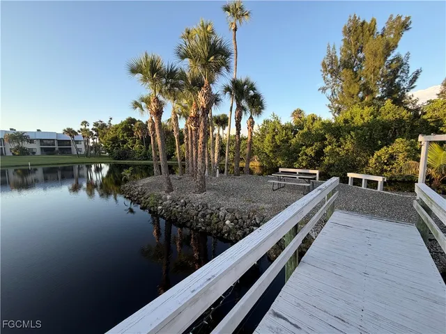 a view of a lake with a yard and palm trees