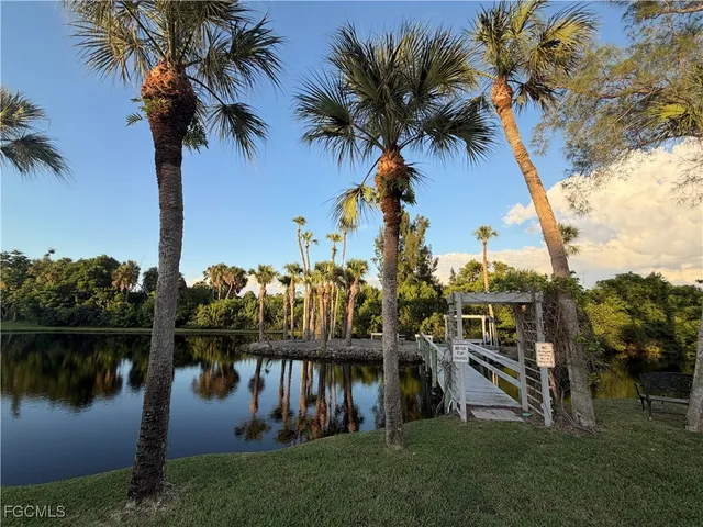 a view of a park with tree s