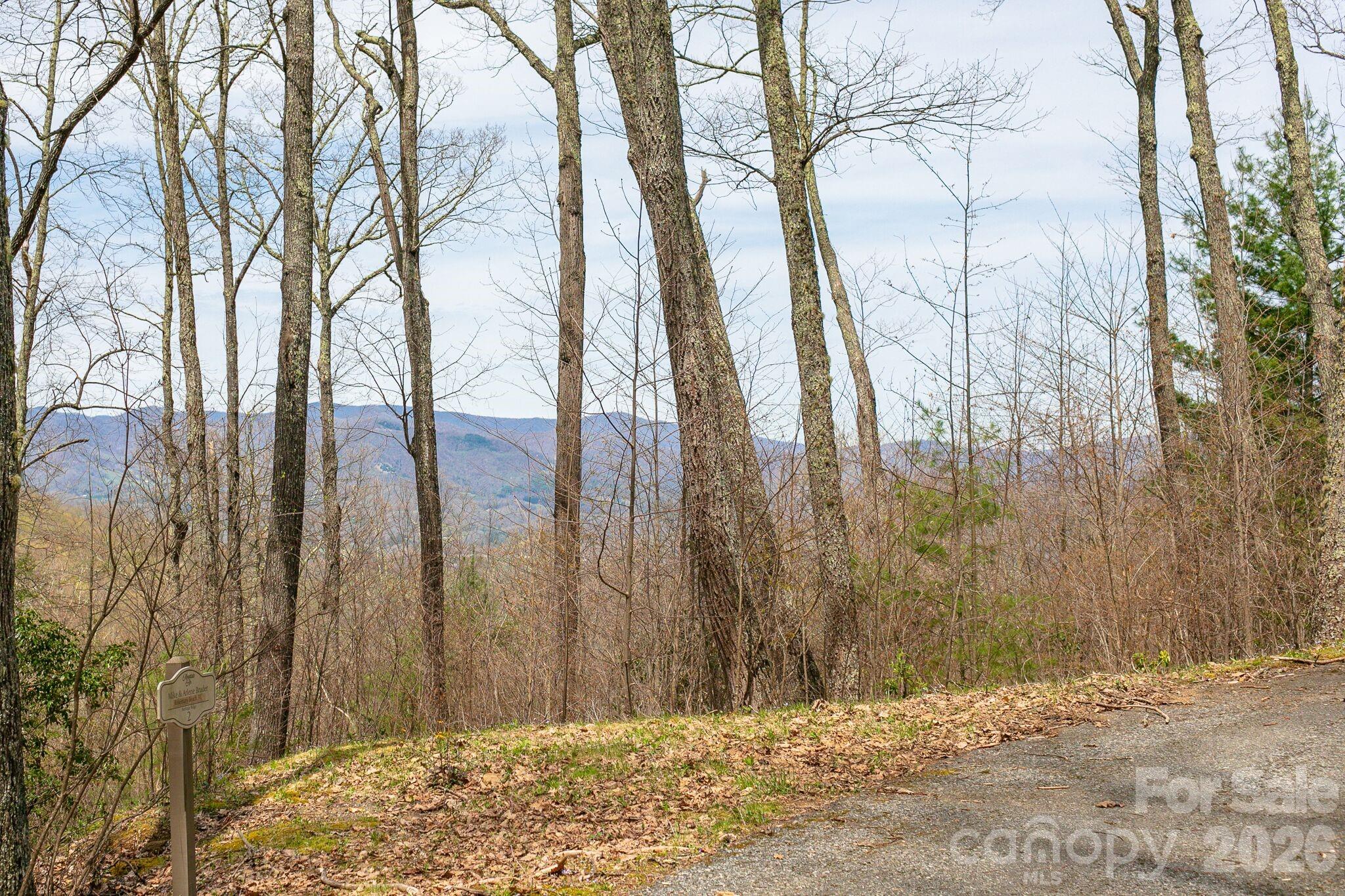 Lot 2 Heritage Ridge Road Burnsville, NC 28714 - Photo 1 of 14 a view of a backyard of the house