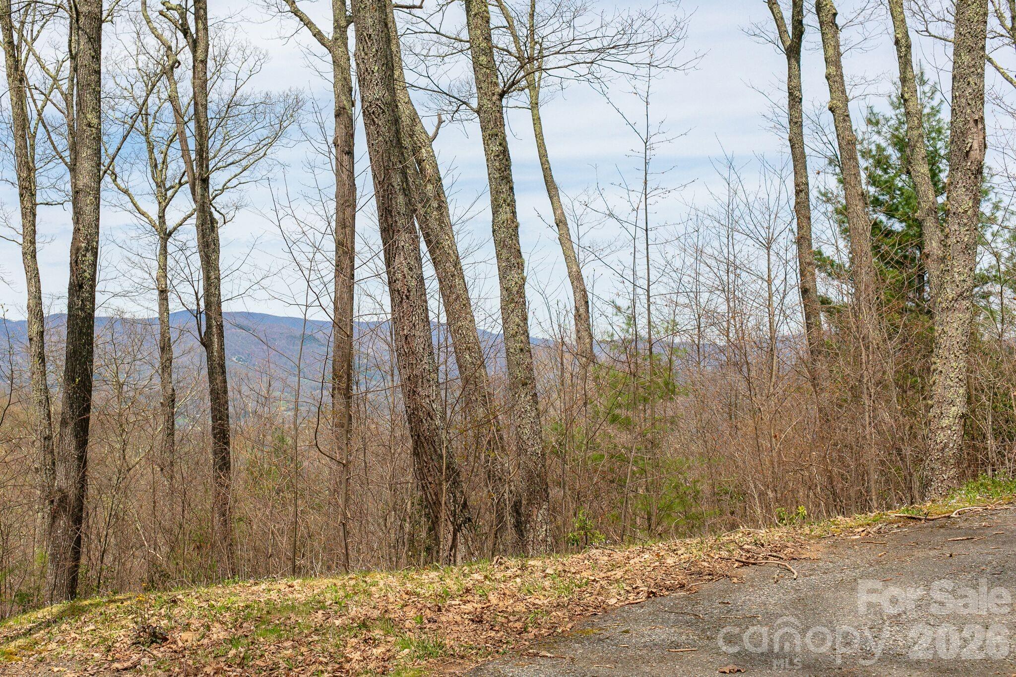 Lot 2 Heritage Ridge Road Burnsville, NC 28714 - Photo 12 of 14 a view of a backyard of the house