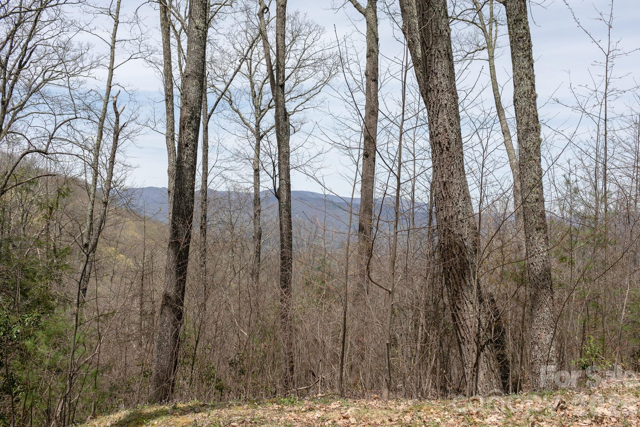 Lot 2 Heritage Ridge Road Burnsville, NC 28714 - Photo 4 of 14 a view of a yard with trees