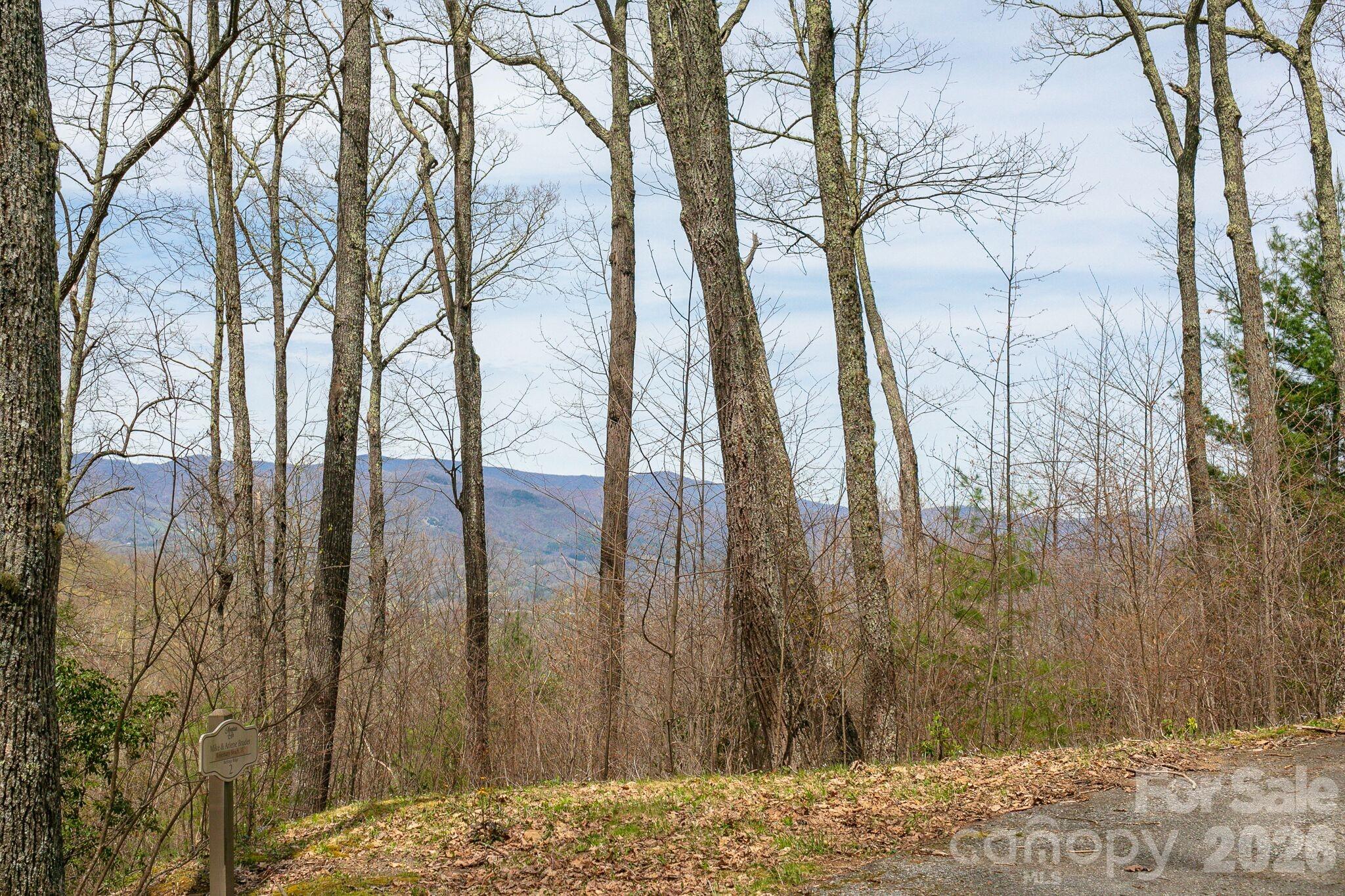 Lot 2 Heritage Ridge Road Burnsville, NC 28714 - Photo 10 of 14 a view of a backyard of the house
