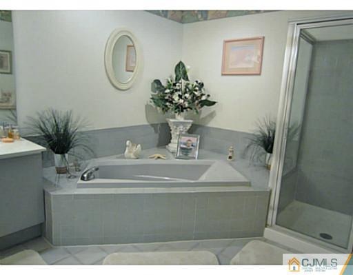 375 Draco Road Piscataway, NJ 08854 - Photo 16 of 25 a bathroom with a sink a mirror and a potted plant