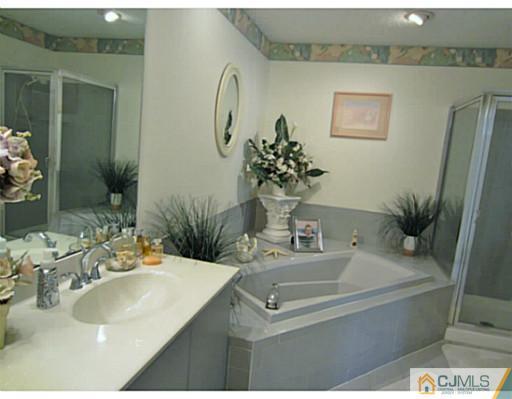375 Draco Road Piscataway, NJ 08854 - Photo 17 of 25 a bathroom with a sink and a mirror